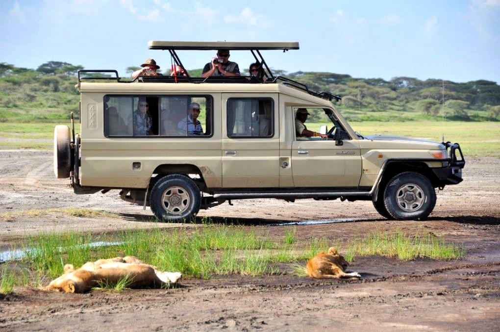 safari land cruiser